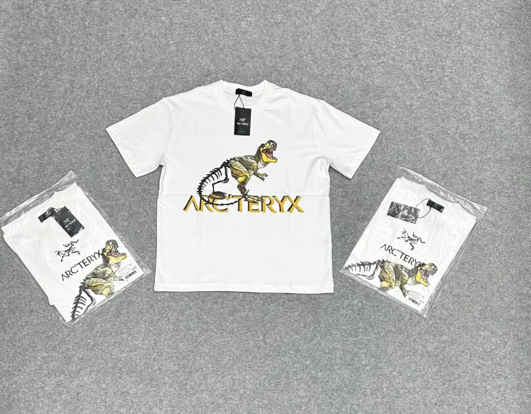 REMERA ARCTERYX