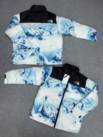 CAMPERA THE NORTH FACE MONTAñA
