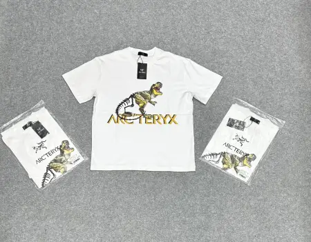 REMERA ARCTERYX